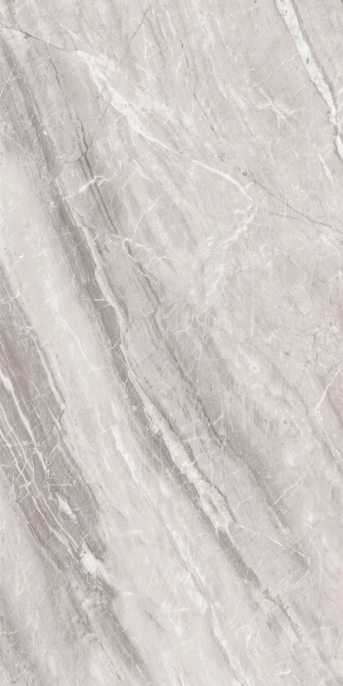 ASSINIS GREY