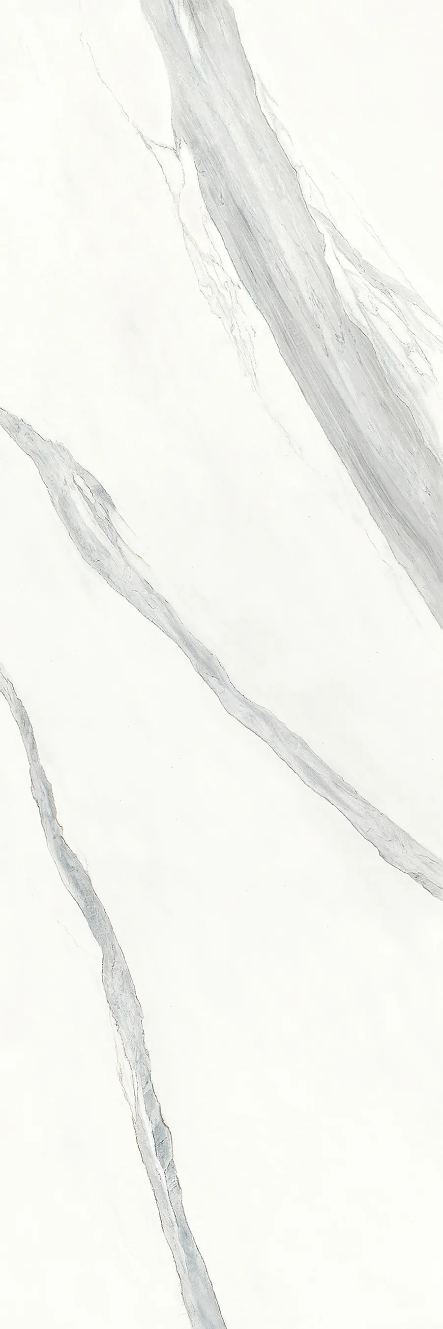 GANI BIANCO VENATO