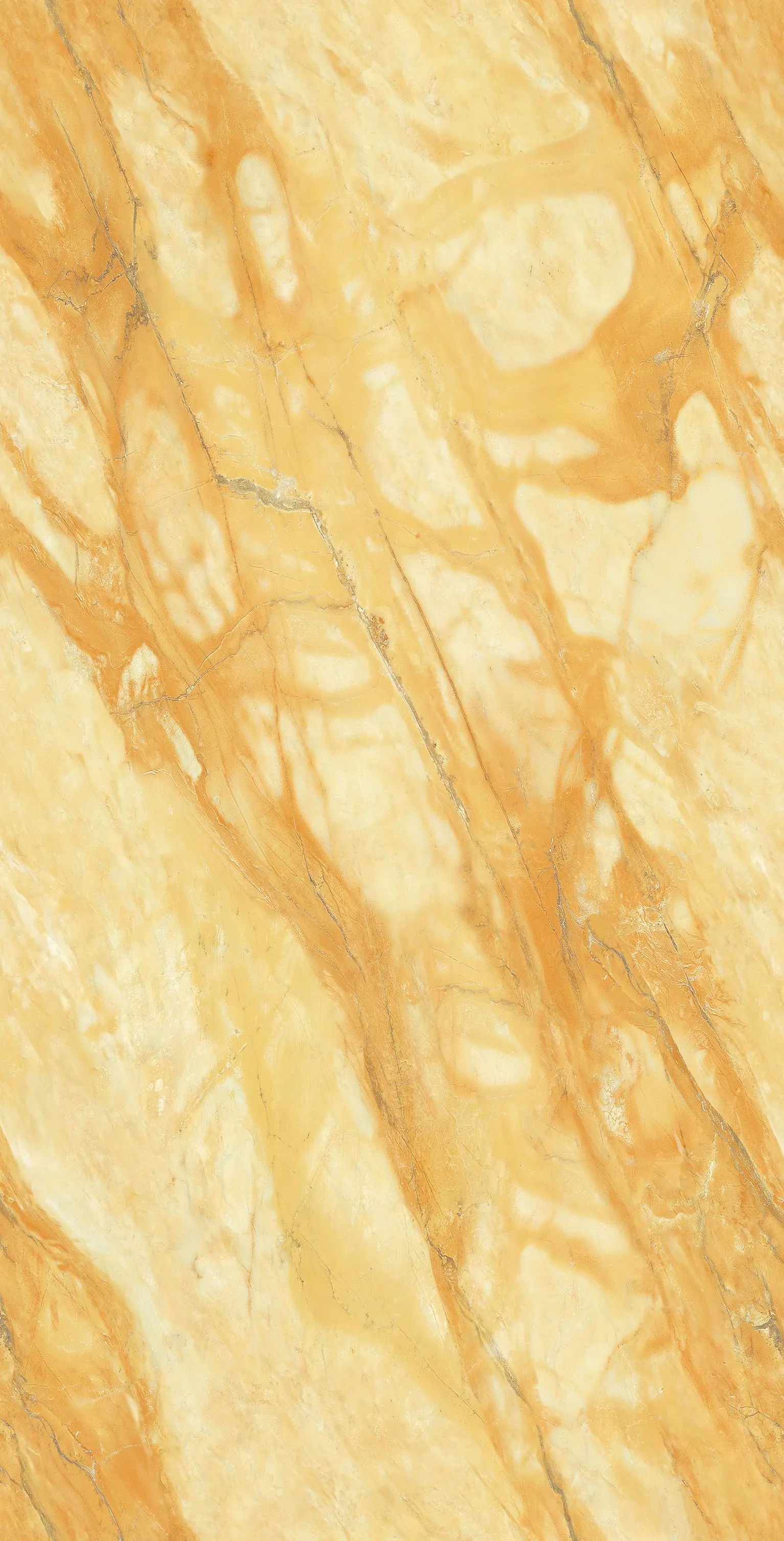 GANI GIALLO SIENA