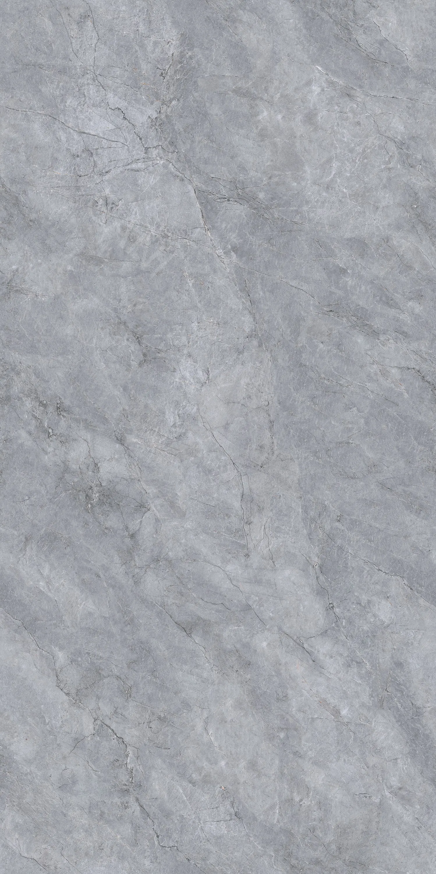 GANI SAVOY GREY