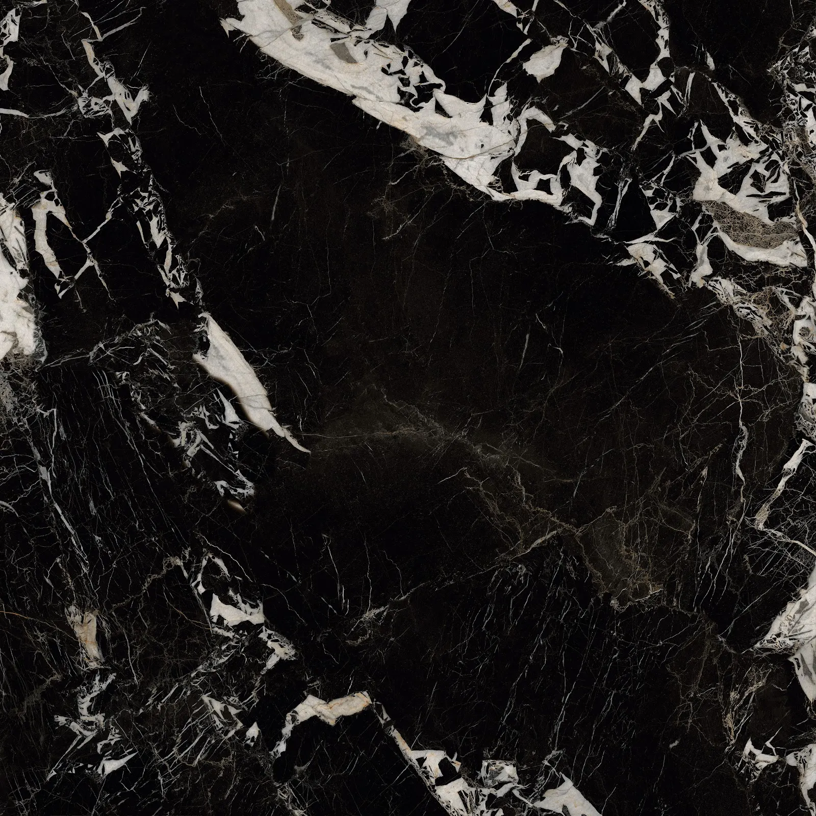 GIANIA NAPOLEON BLACK