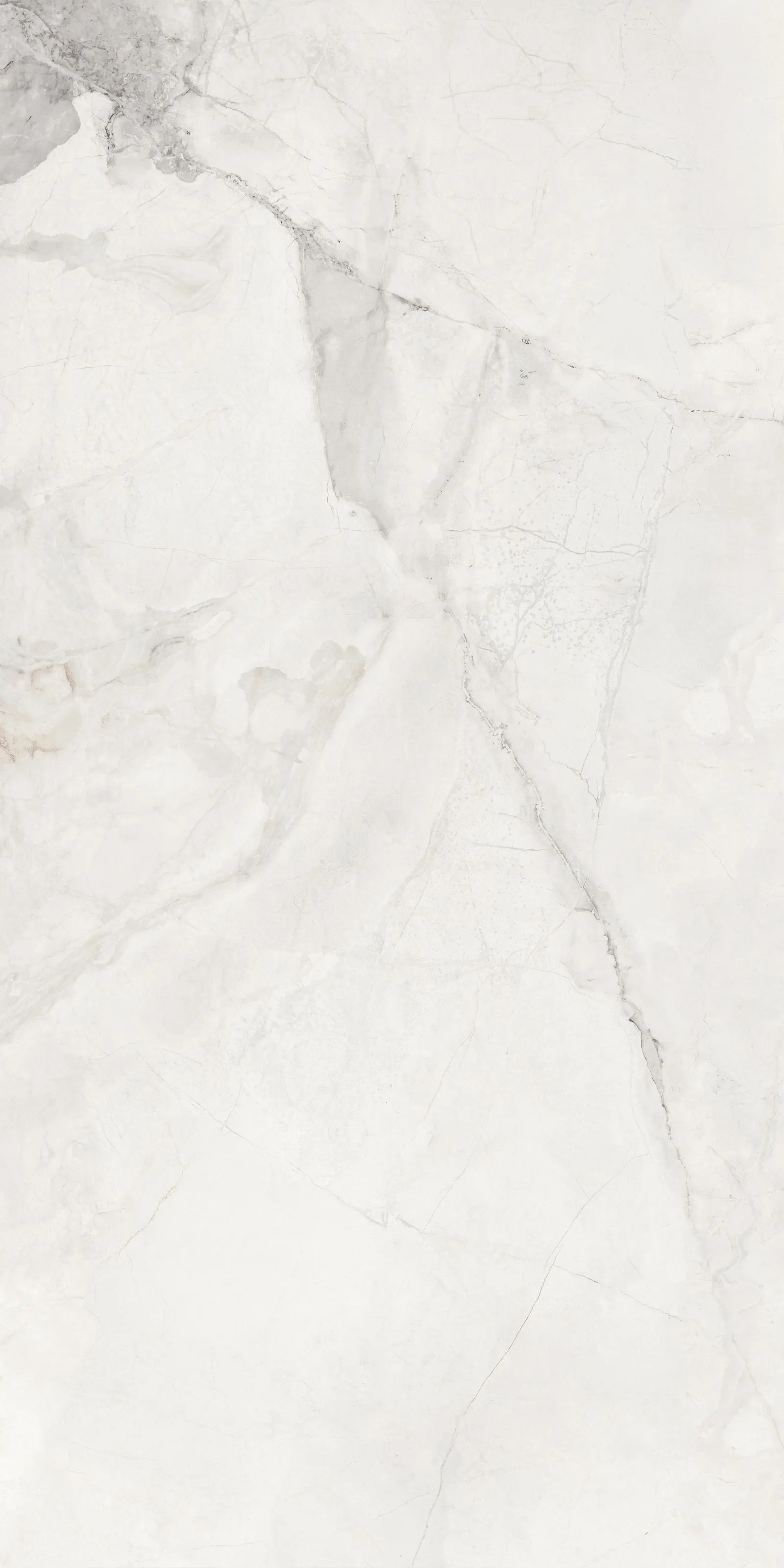 GIANIA SILK WHITE
