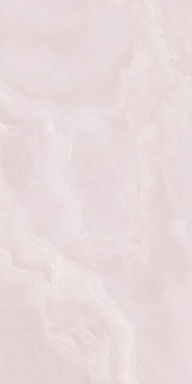 HONGYU DAWN ROSE
